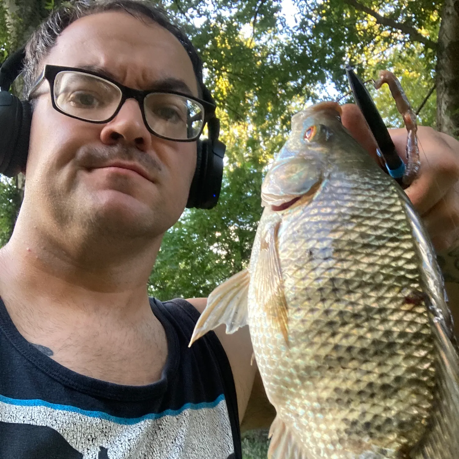 The most recent Banded tilapia catches on Fishbrain