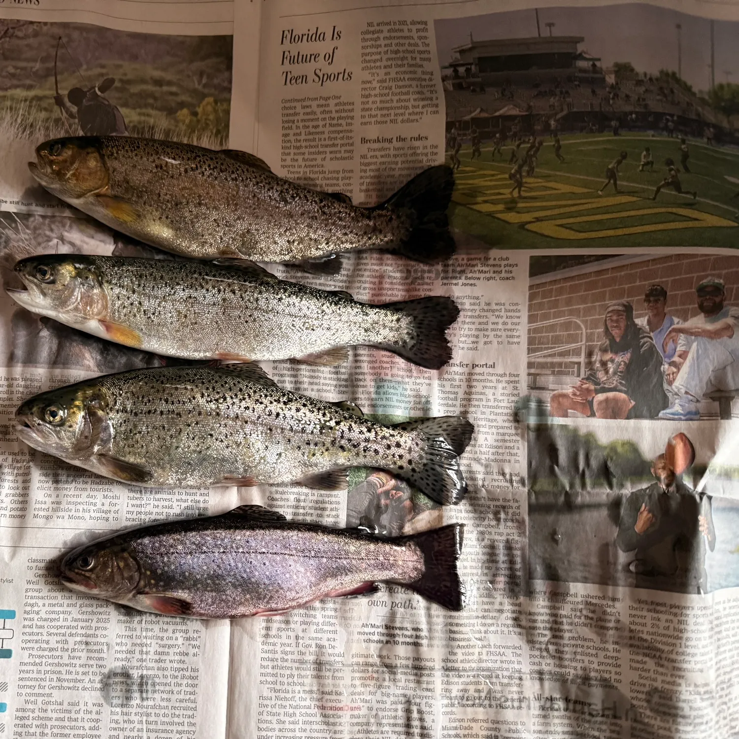 recently logged catches