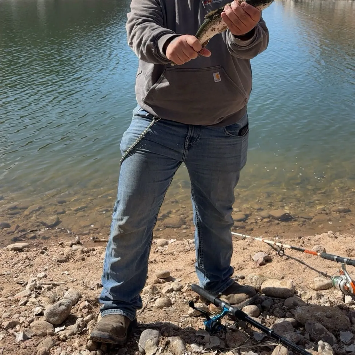 Rainbow trout caught on Fishbrain