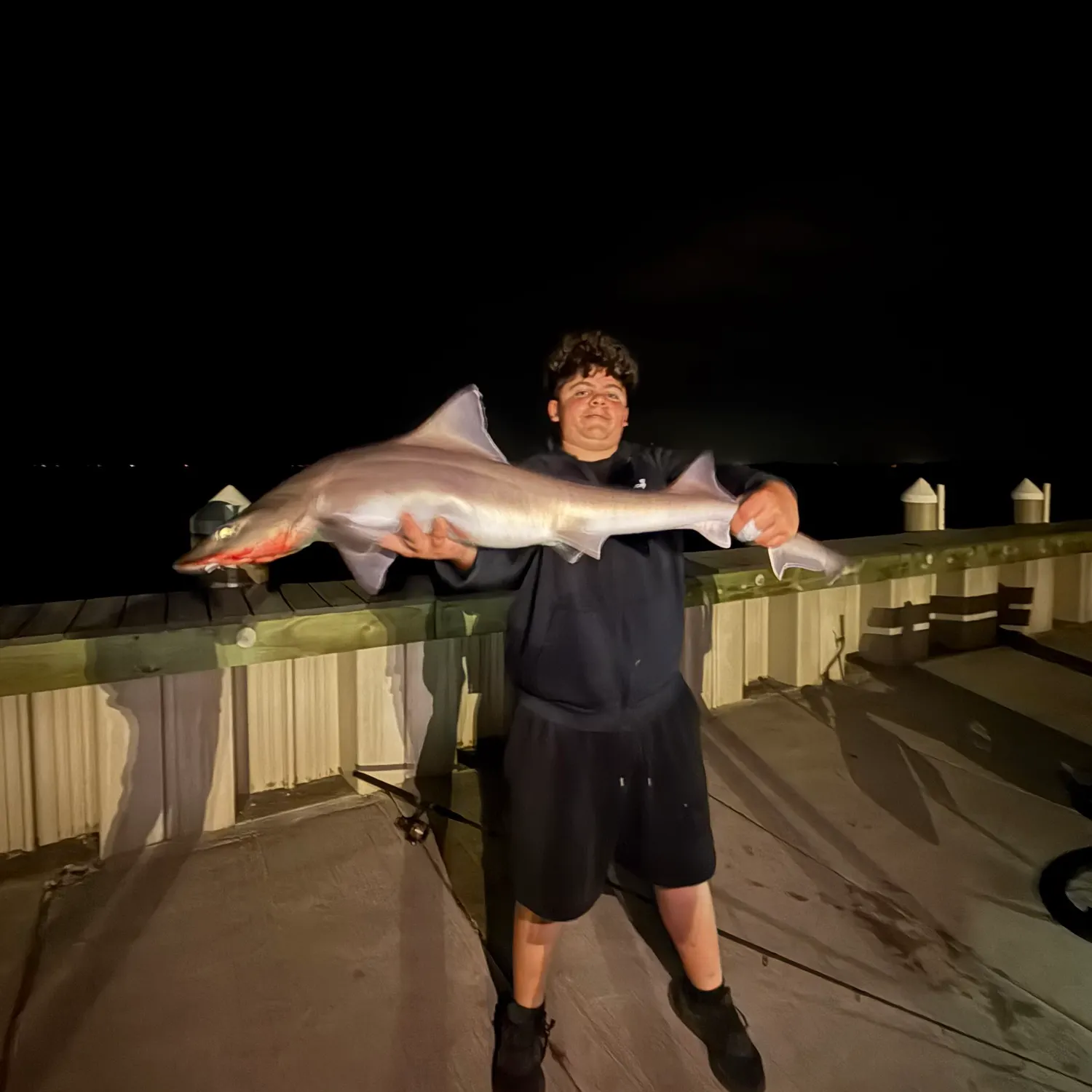 The most recent Dusky shark catches on Fishbrain