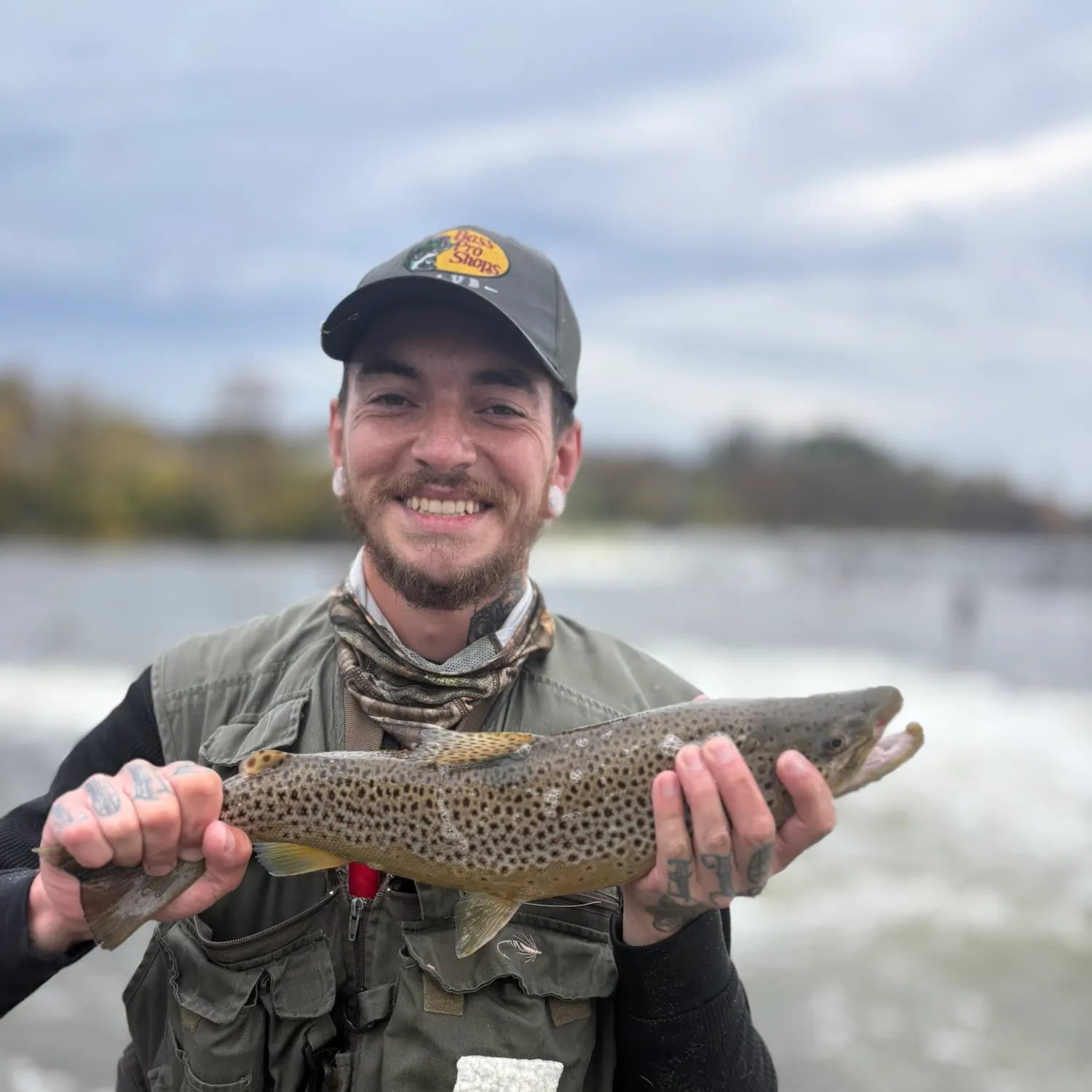 Sea trout caught on Fishbrain