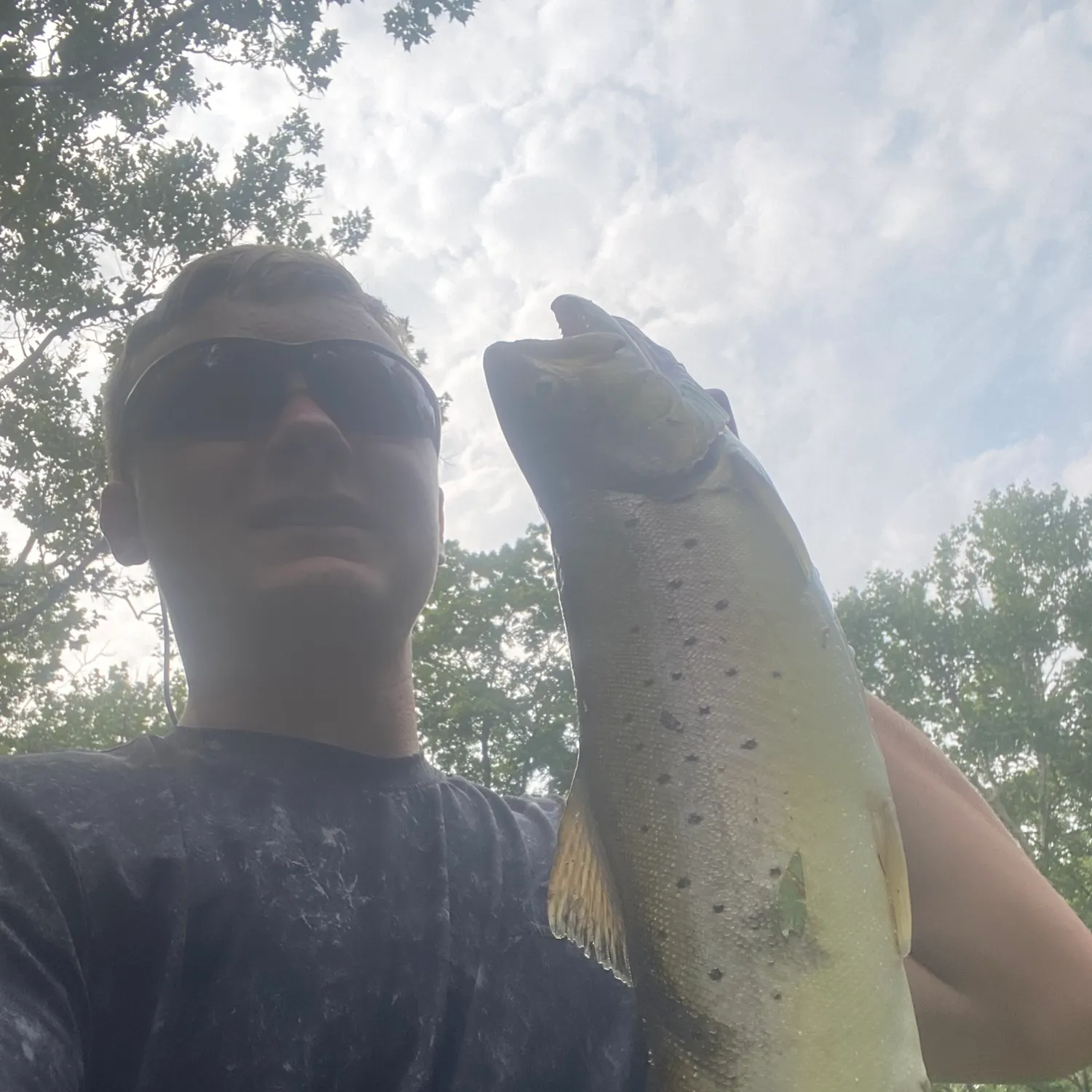 The most recent Brown trout catches on Fishbrain