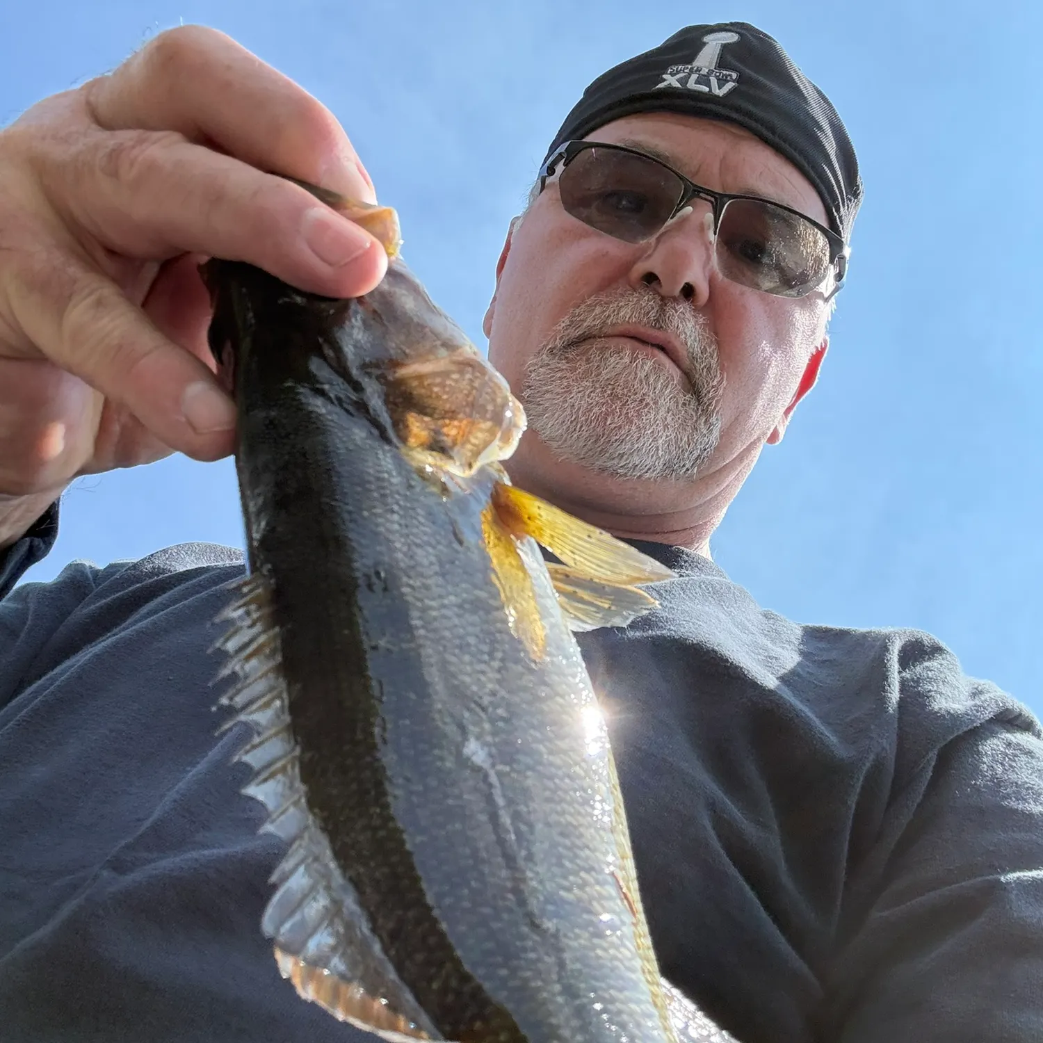 Walleye caught on Fishbrain