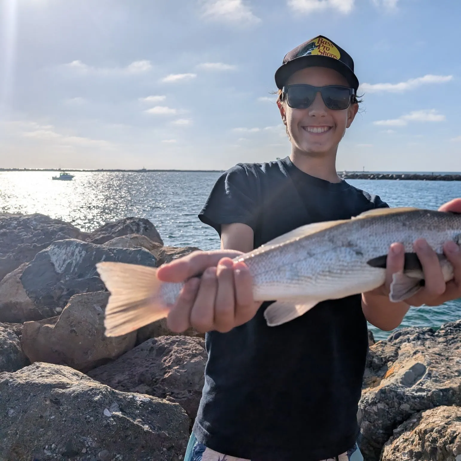 The most recent California corbina catches on Fishbrain