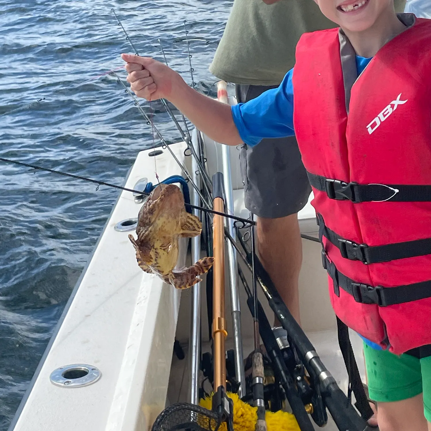 The most recent Boulenger's toadfish catches on Fishbrain