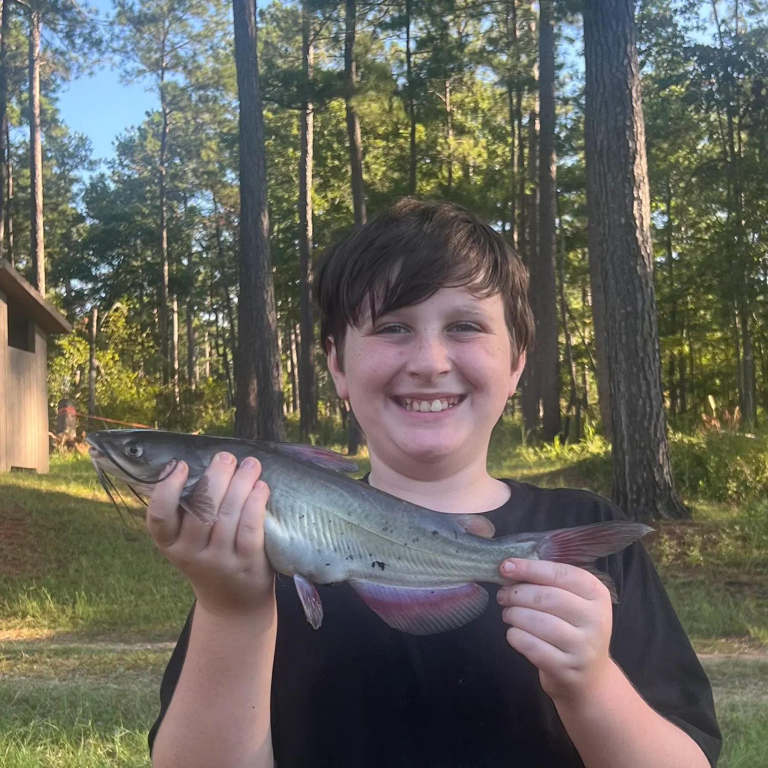 Channel catfish caught on Fishbrain
