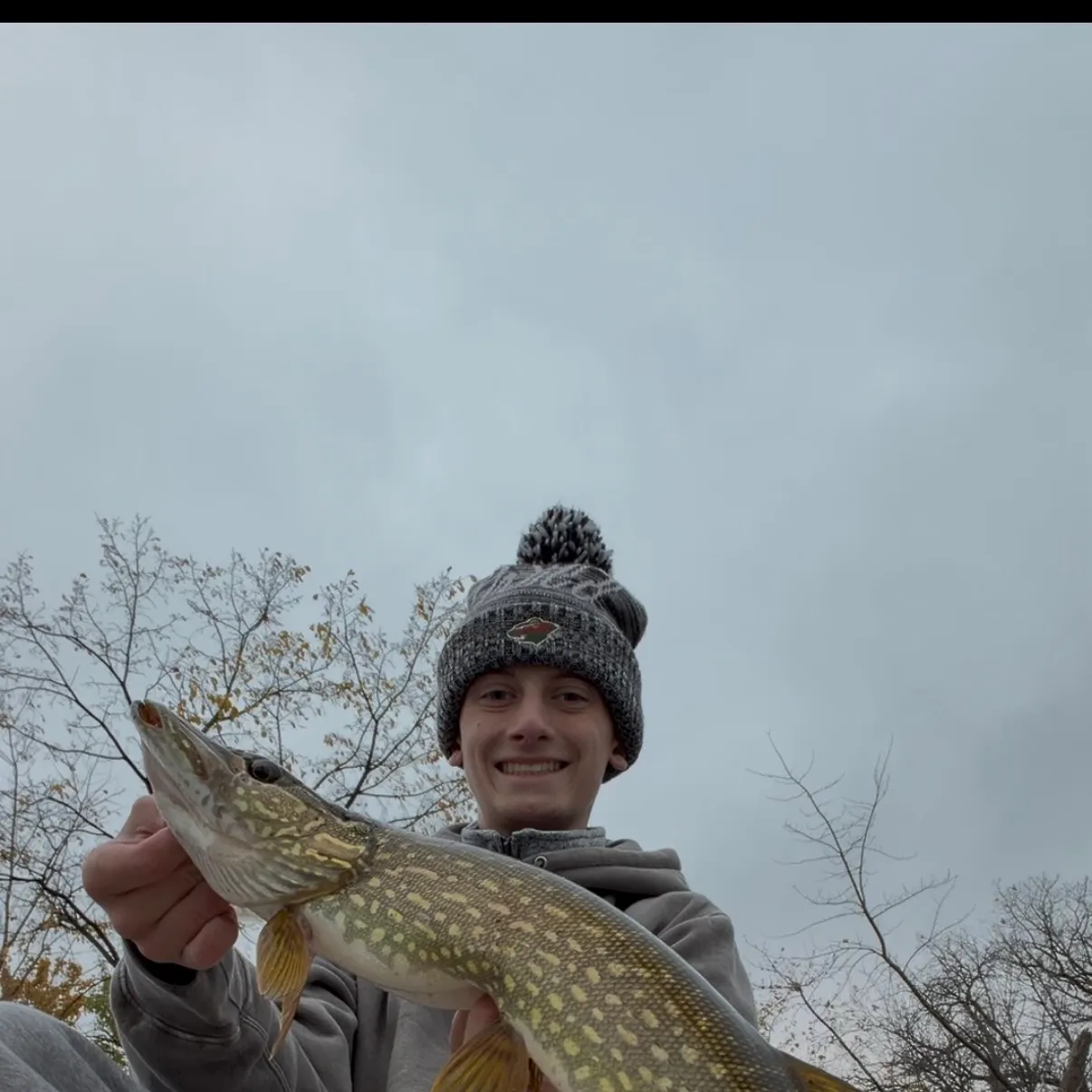 Northern pike caught on Fishbrain