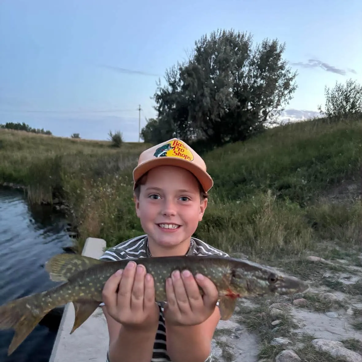 Northern pike caught on Fishbrain