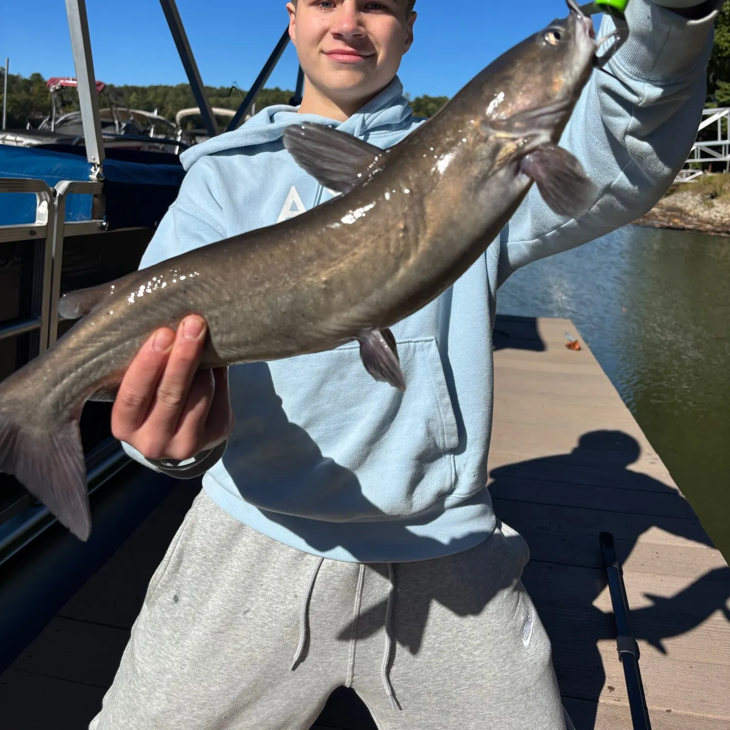 Channel catfish caught on Fishbrain