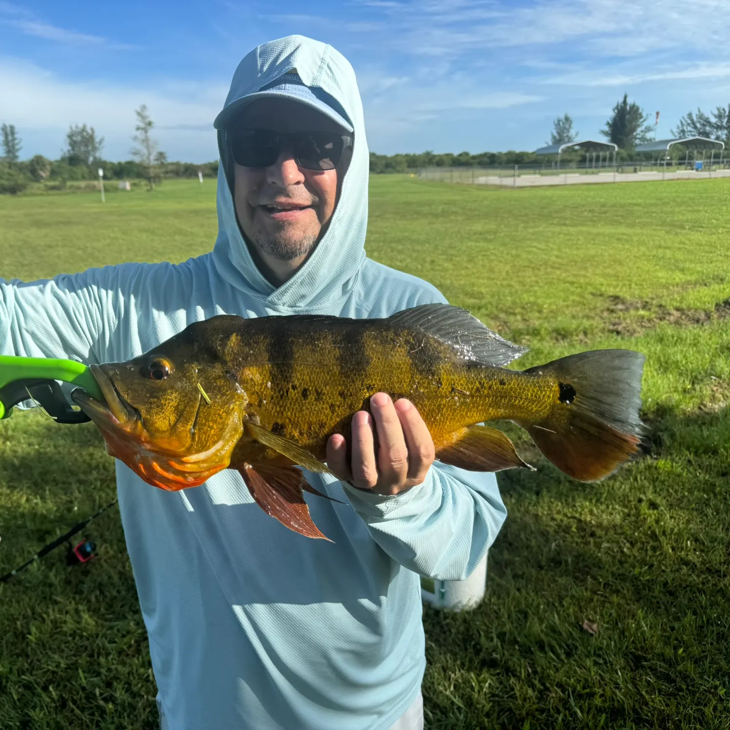 Butterfly peacock bass caught on Fishbrain