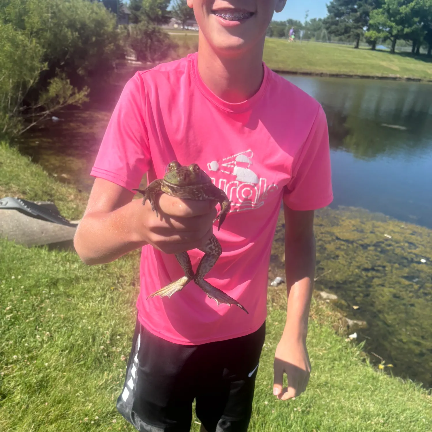 The most recent Warty frogfish catches on Fishbrain