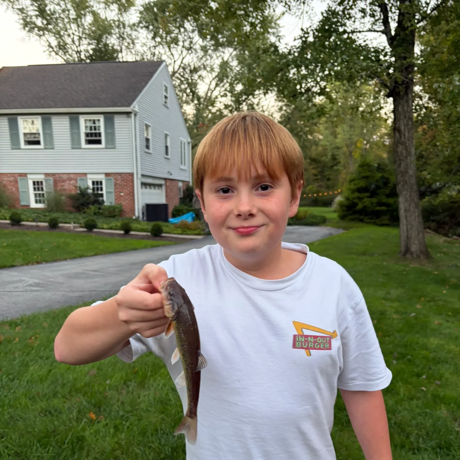 Fish caught on Fishbrain