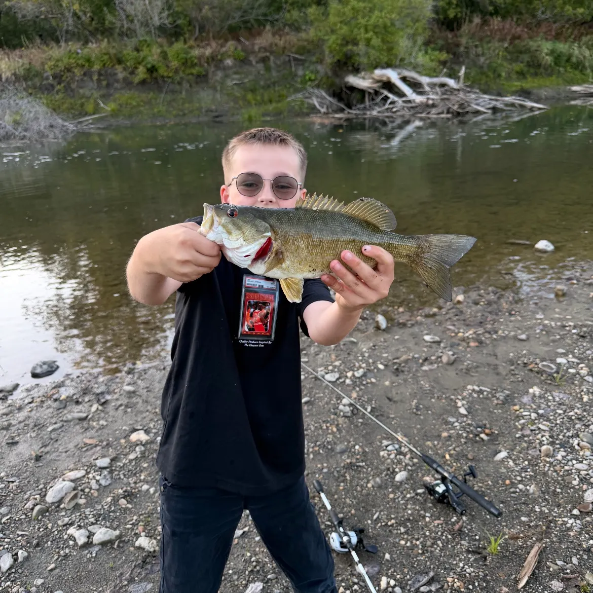 Smallmouth bass caught on Fishbrain