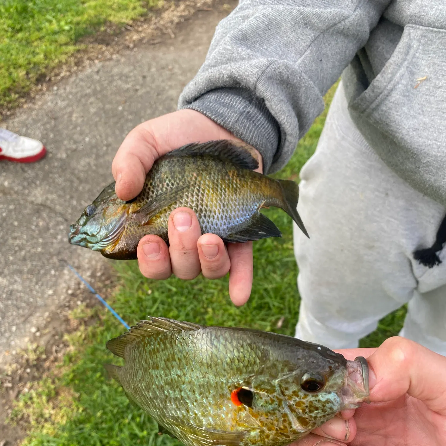 catch
