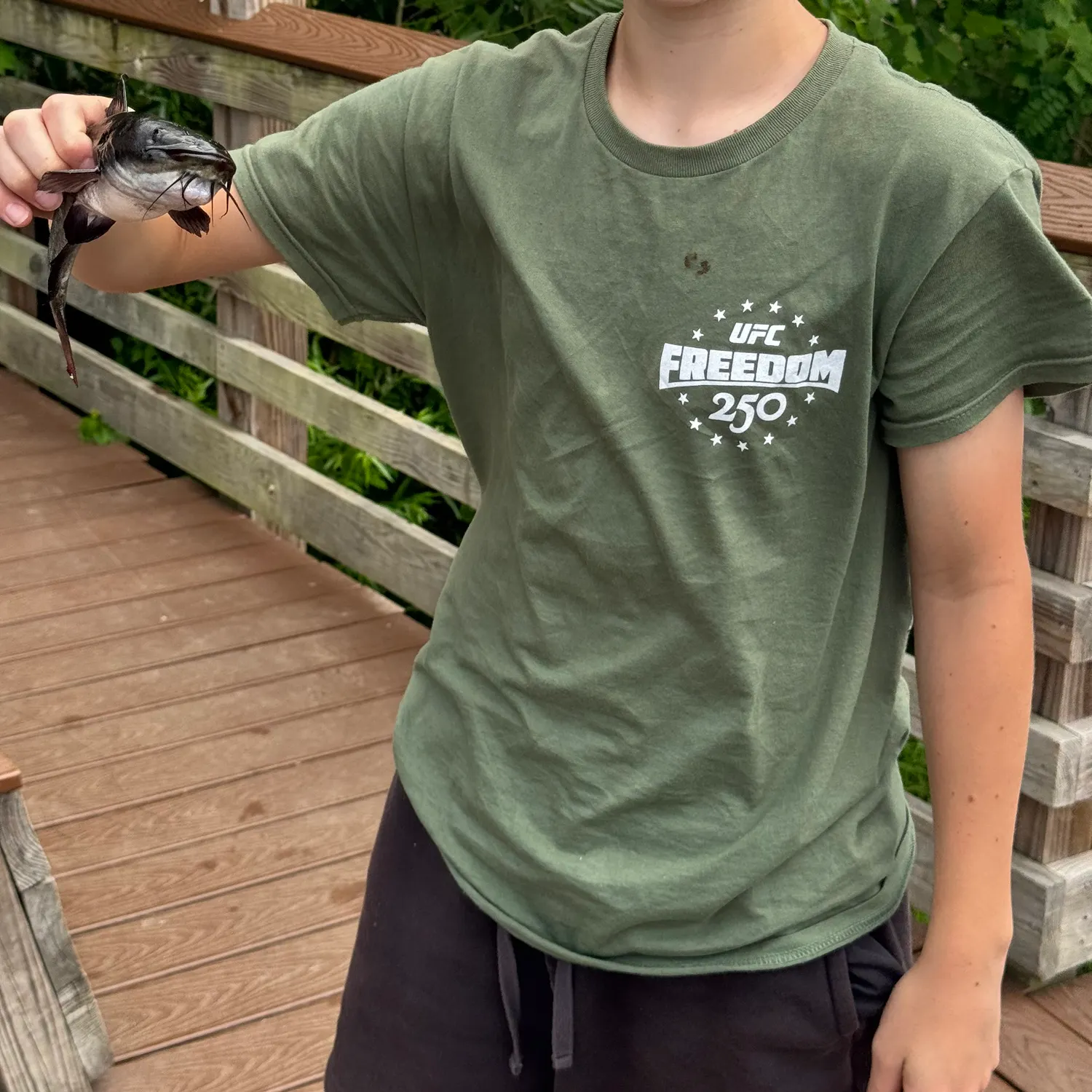 The most recent Black bullhead catches on Fishbrain