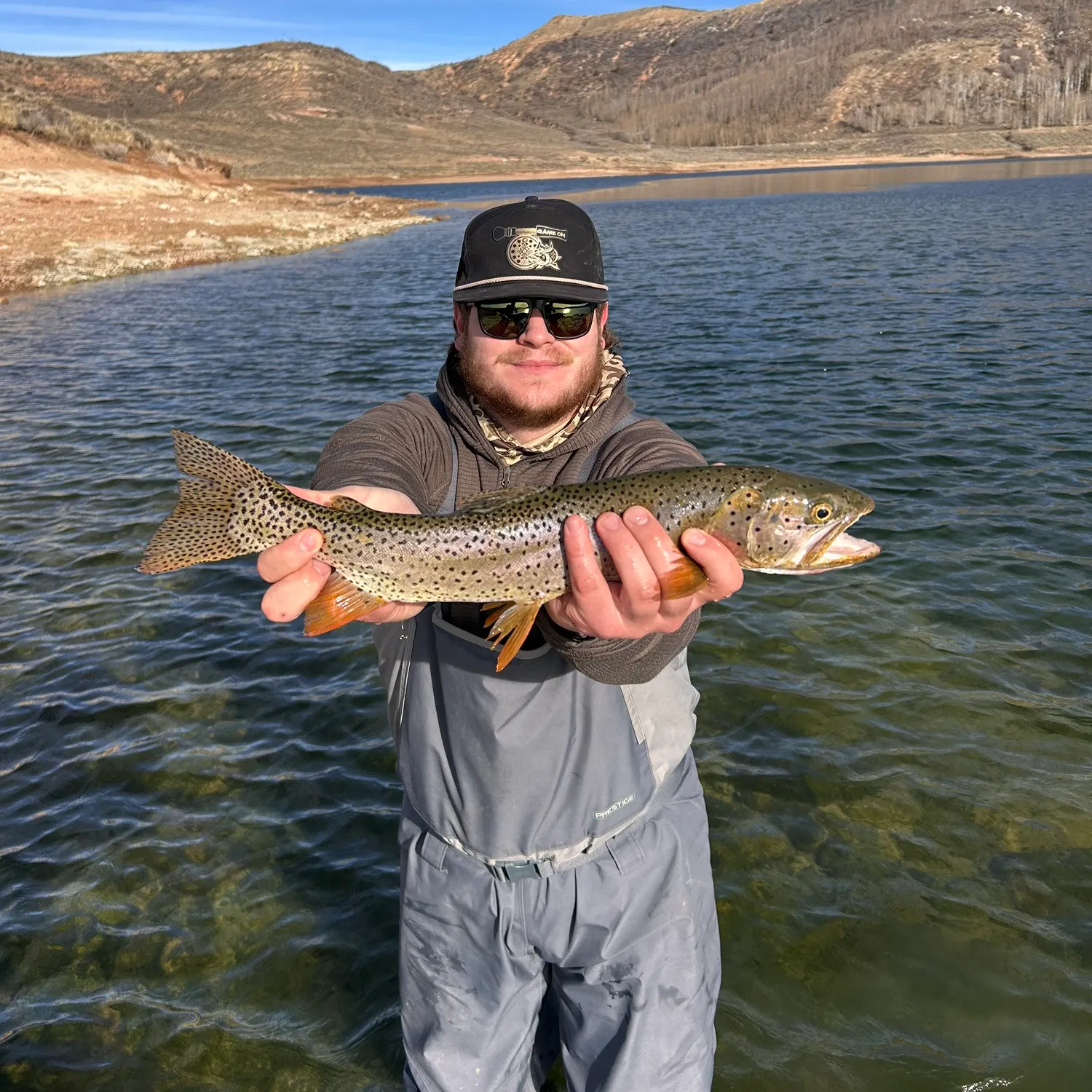 The most recent Bear Lake cutthroat trout catches on Fishbrain