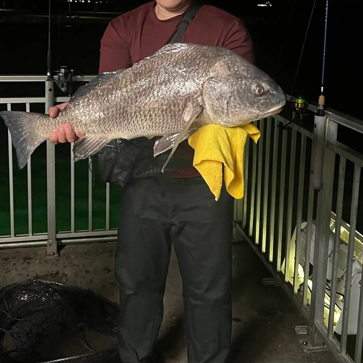 Black drum caught on Fishbrain