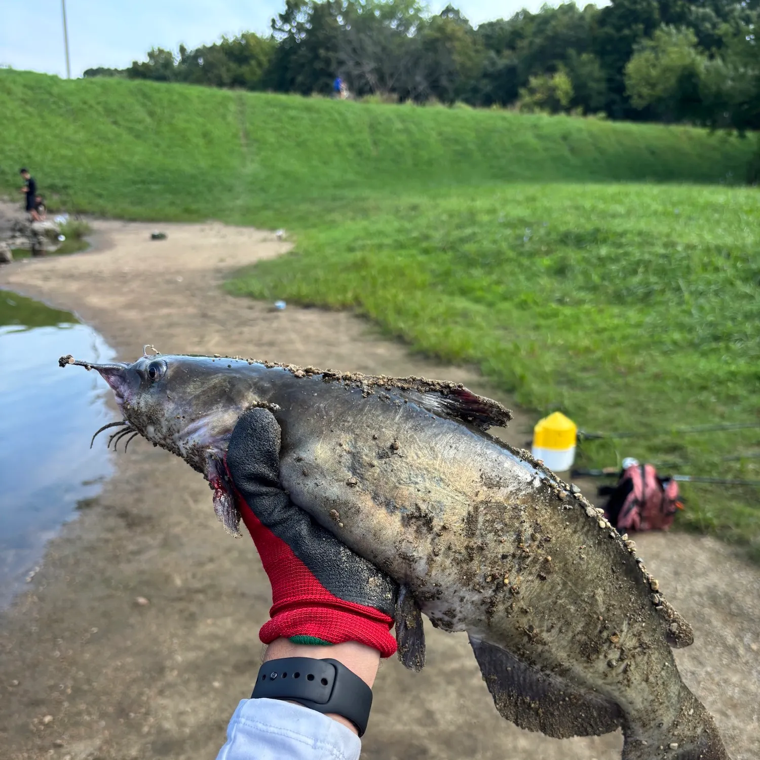 catch