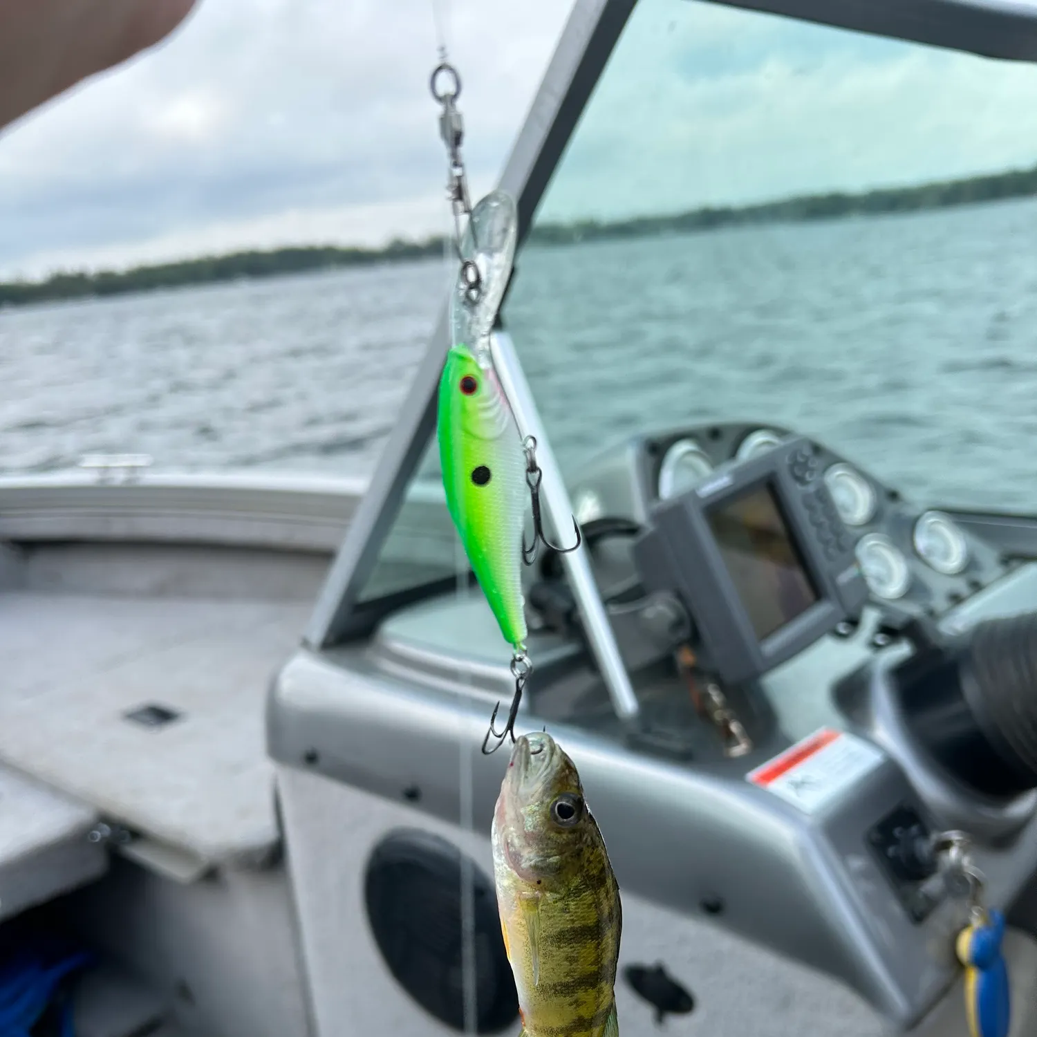 angler catch