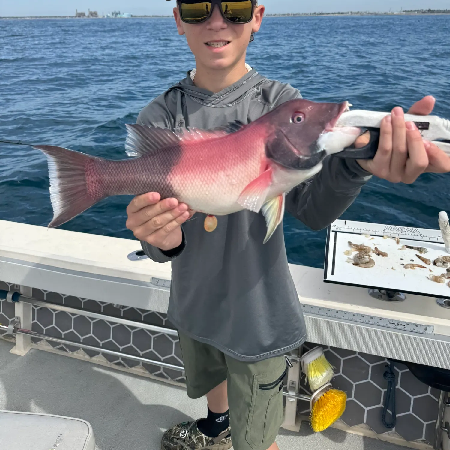 The most recent California sheephead catches on Fishbrain