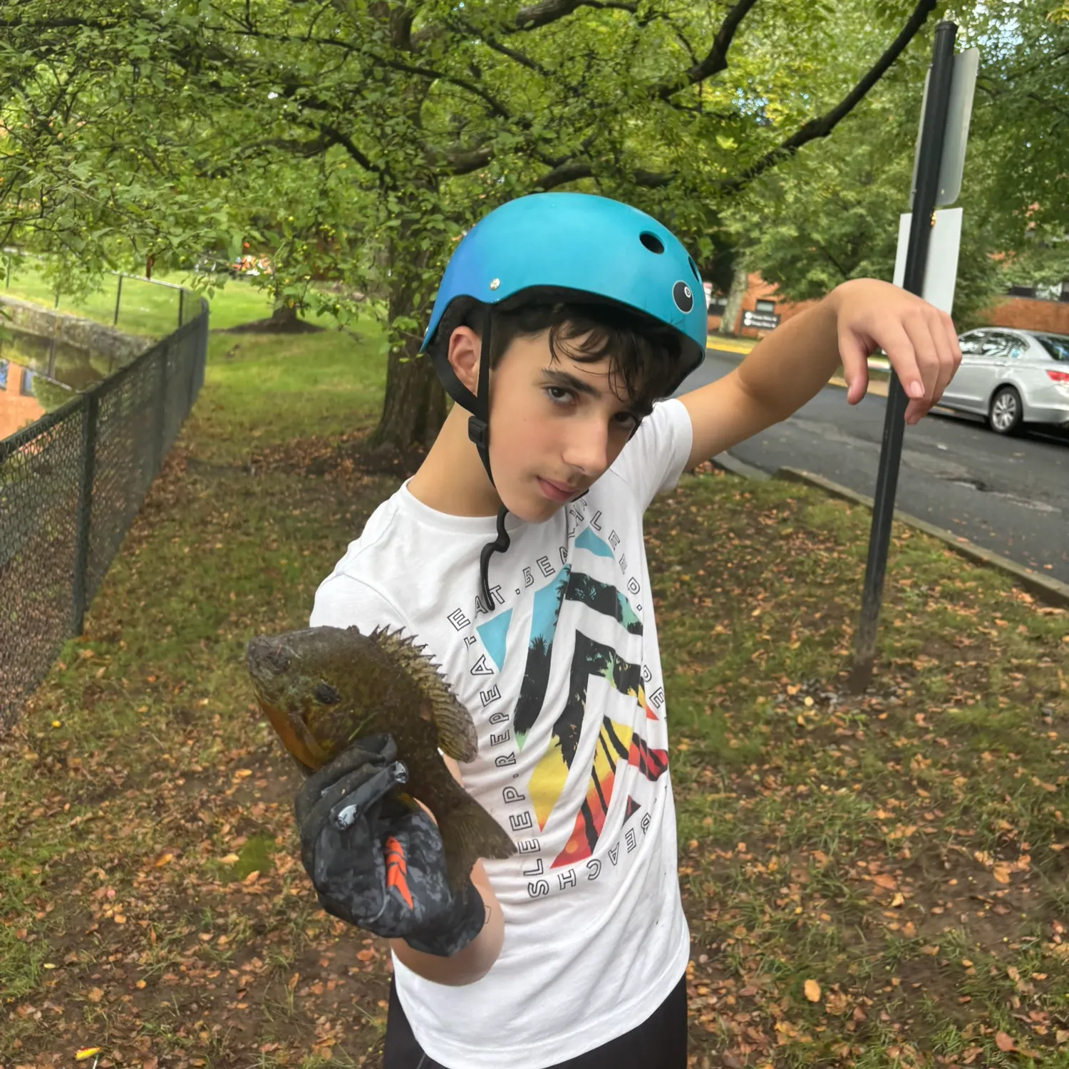 Bluegill caught on Fishbrain