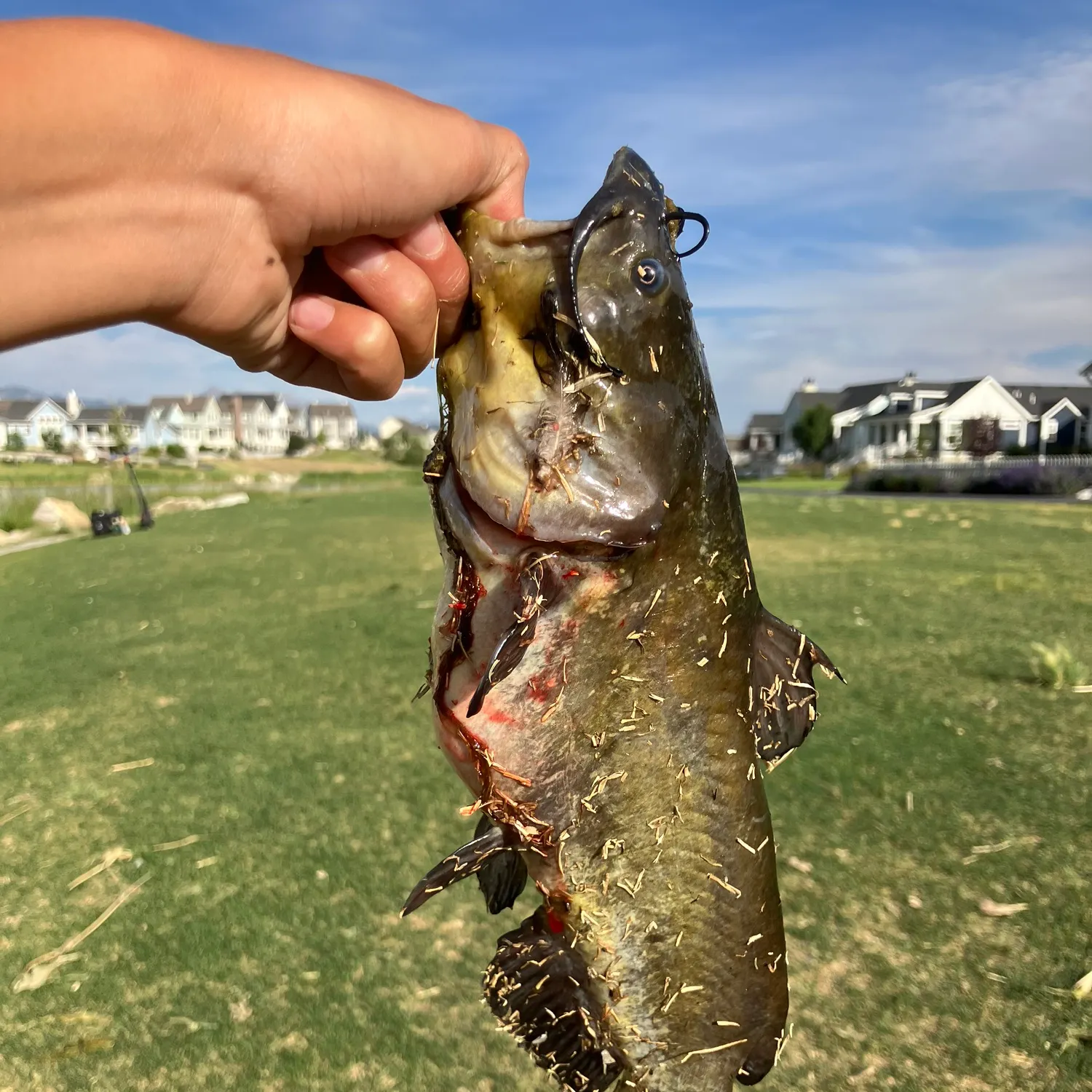 catch