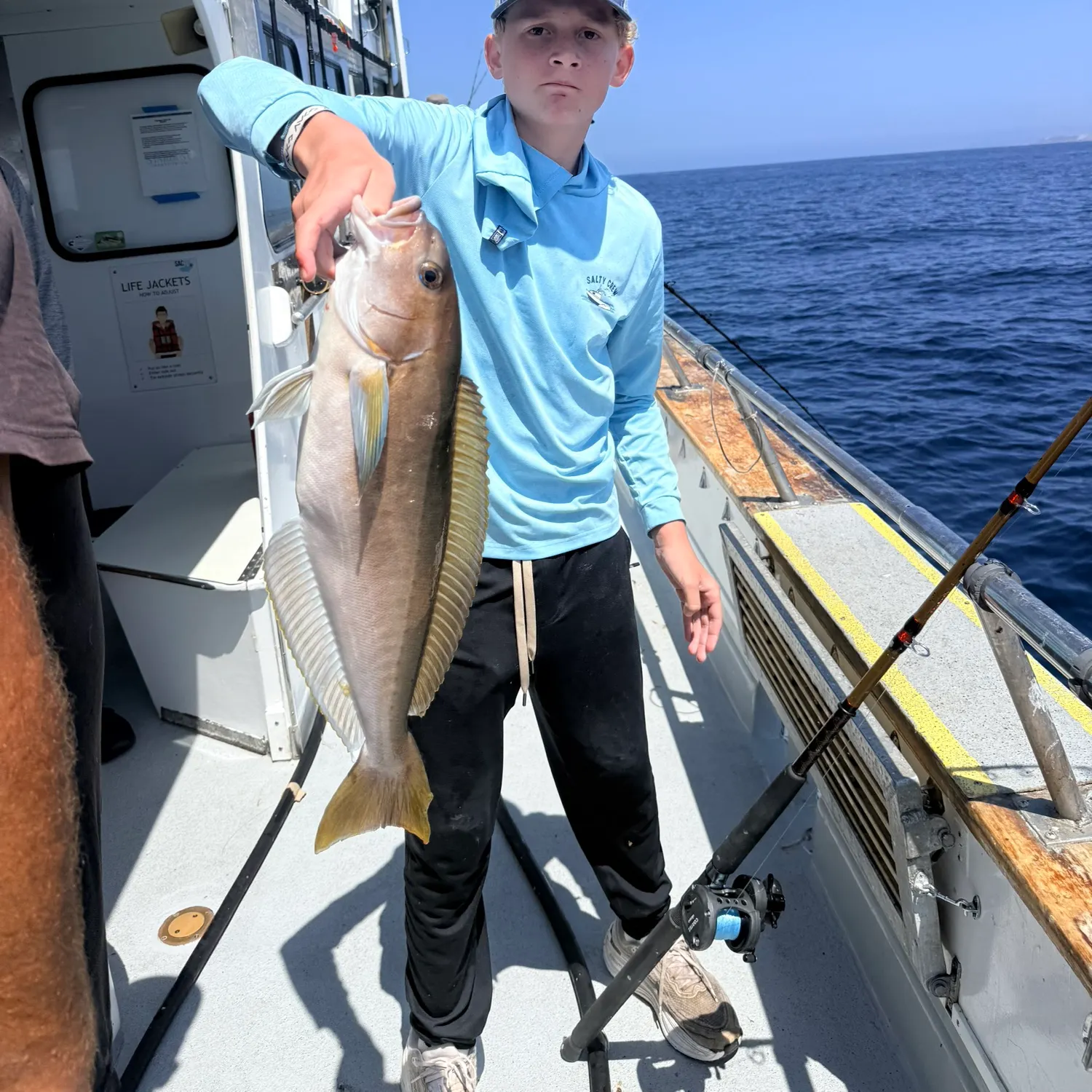The most recent Ocean whitefish catches on Fishbrain