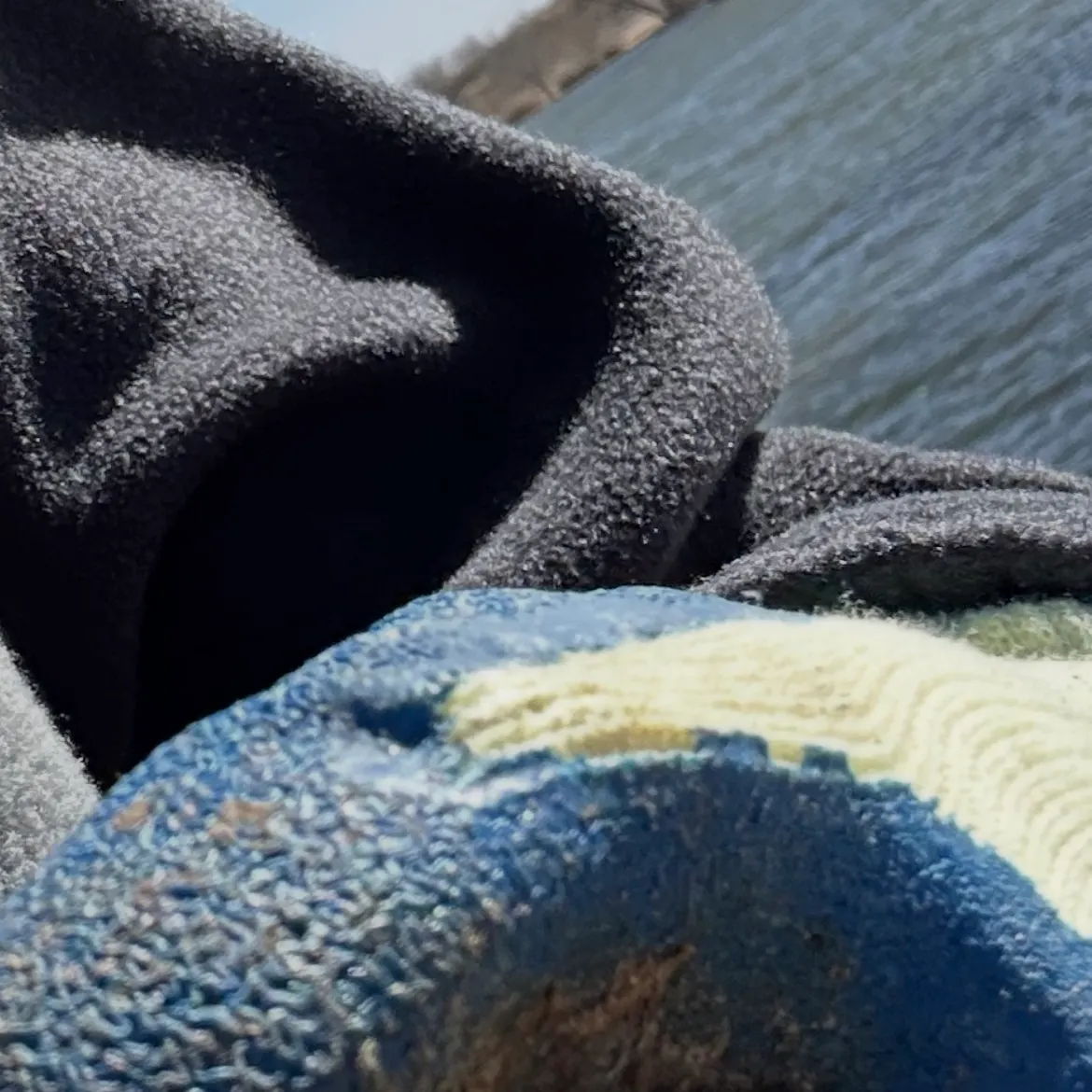 The most recent Black bullhead catches on Fishbrain