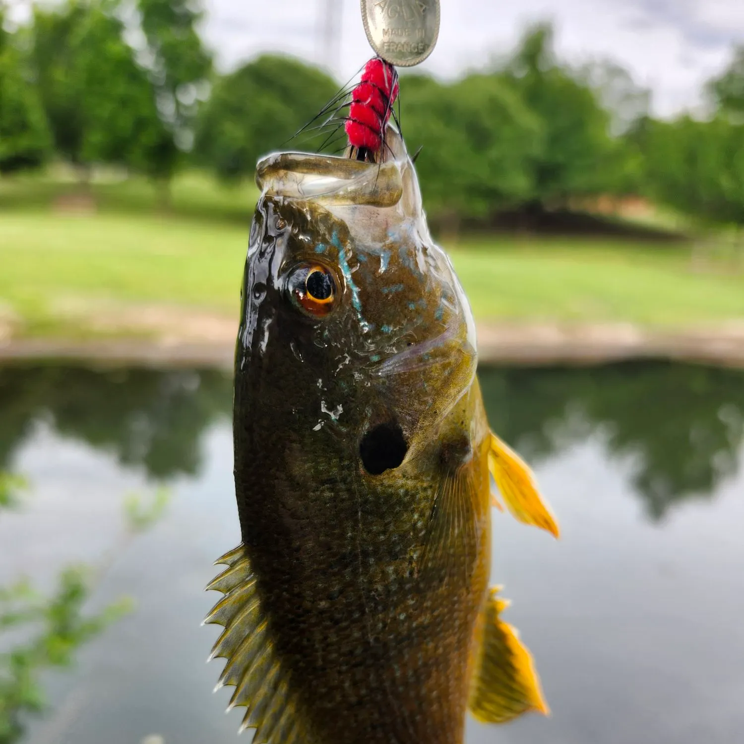 catch