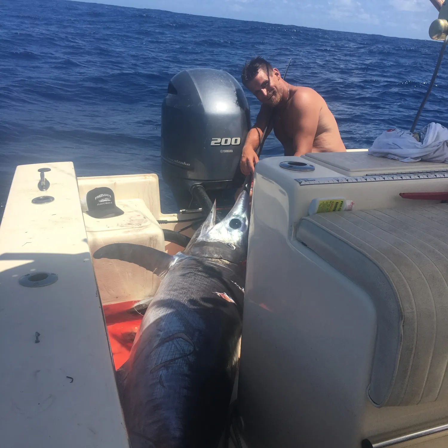 The most recent Swordfish catches on Fishbrain