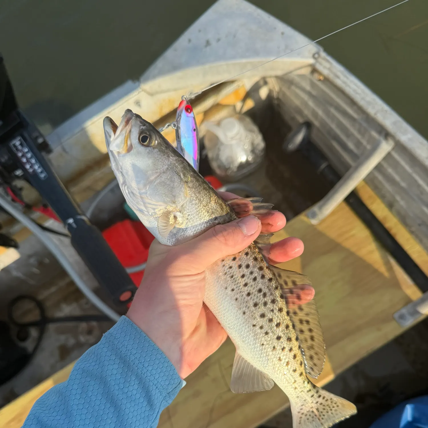 catch