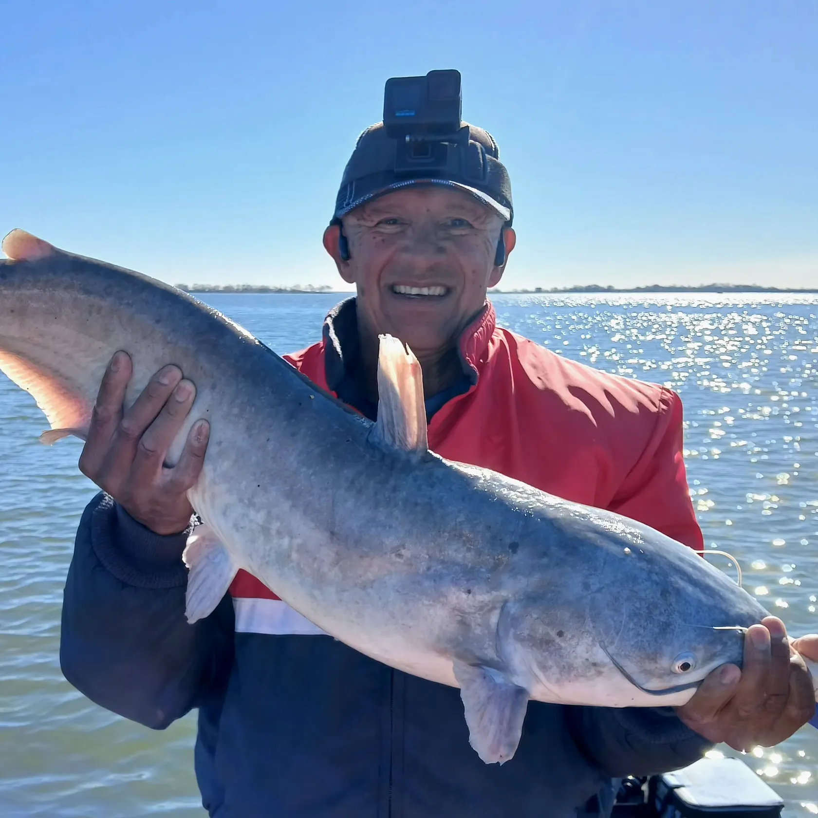 The most recent Blue catfish catches on Fishbrain