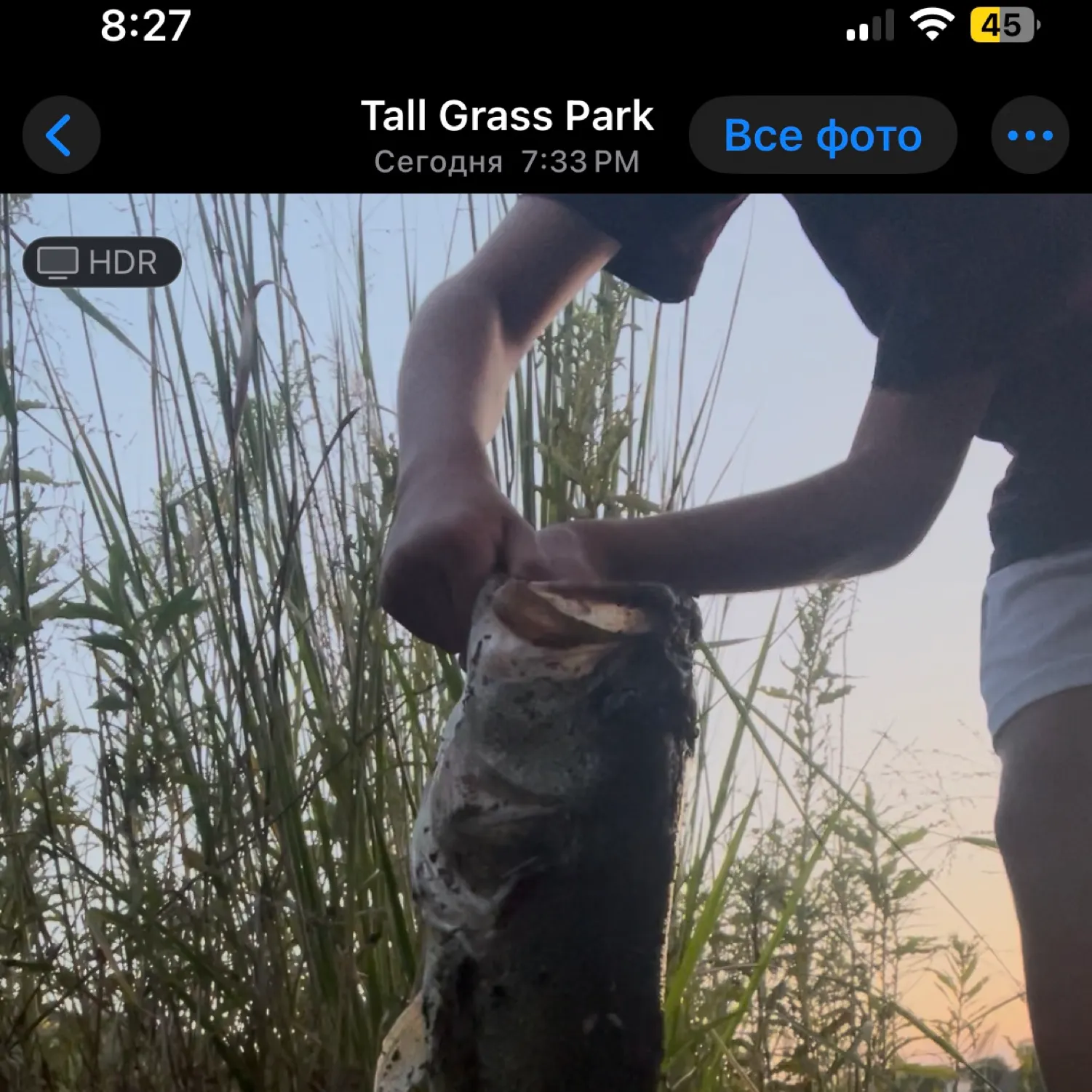 recently logged catches