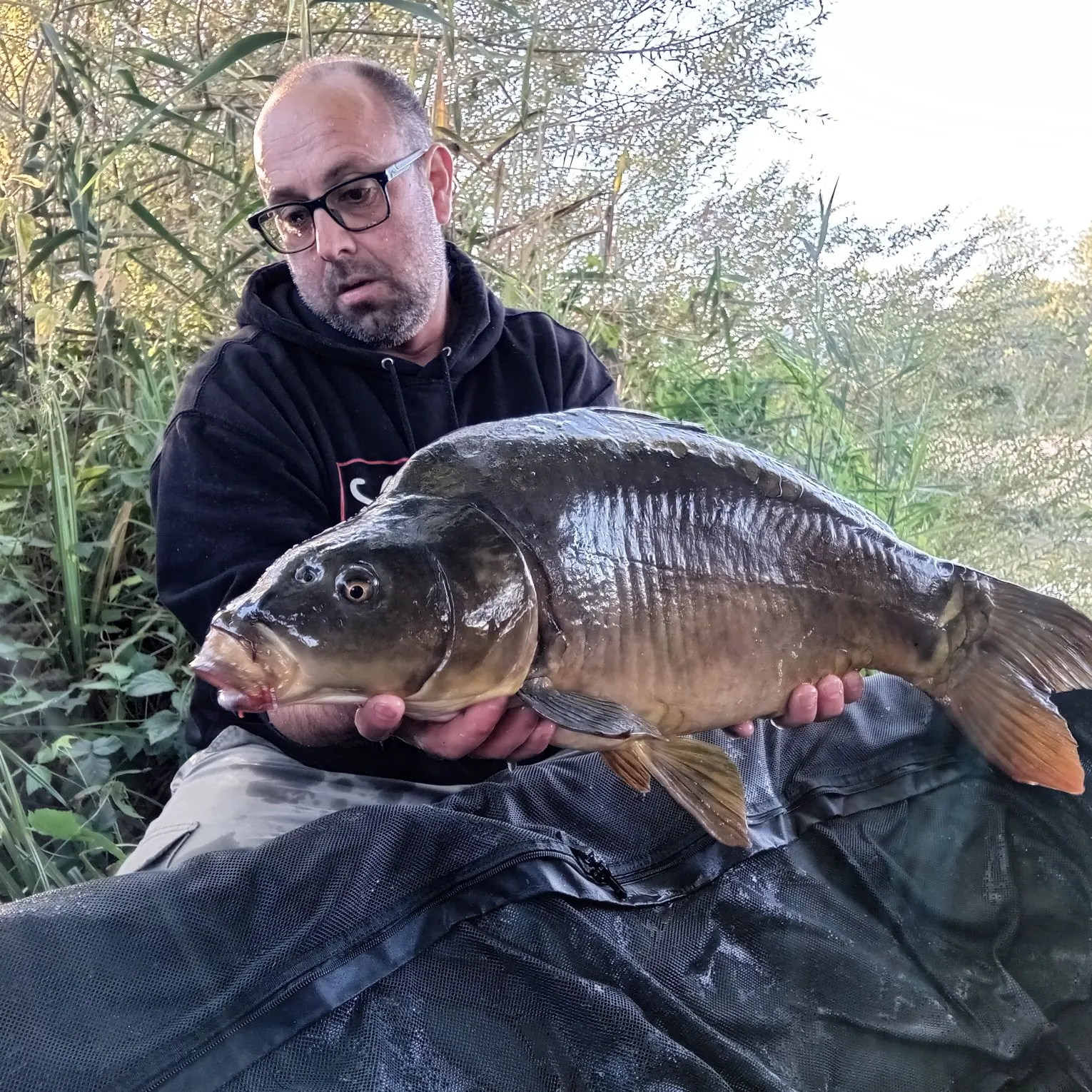 Mirror carp caught on Fishbrain