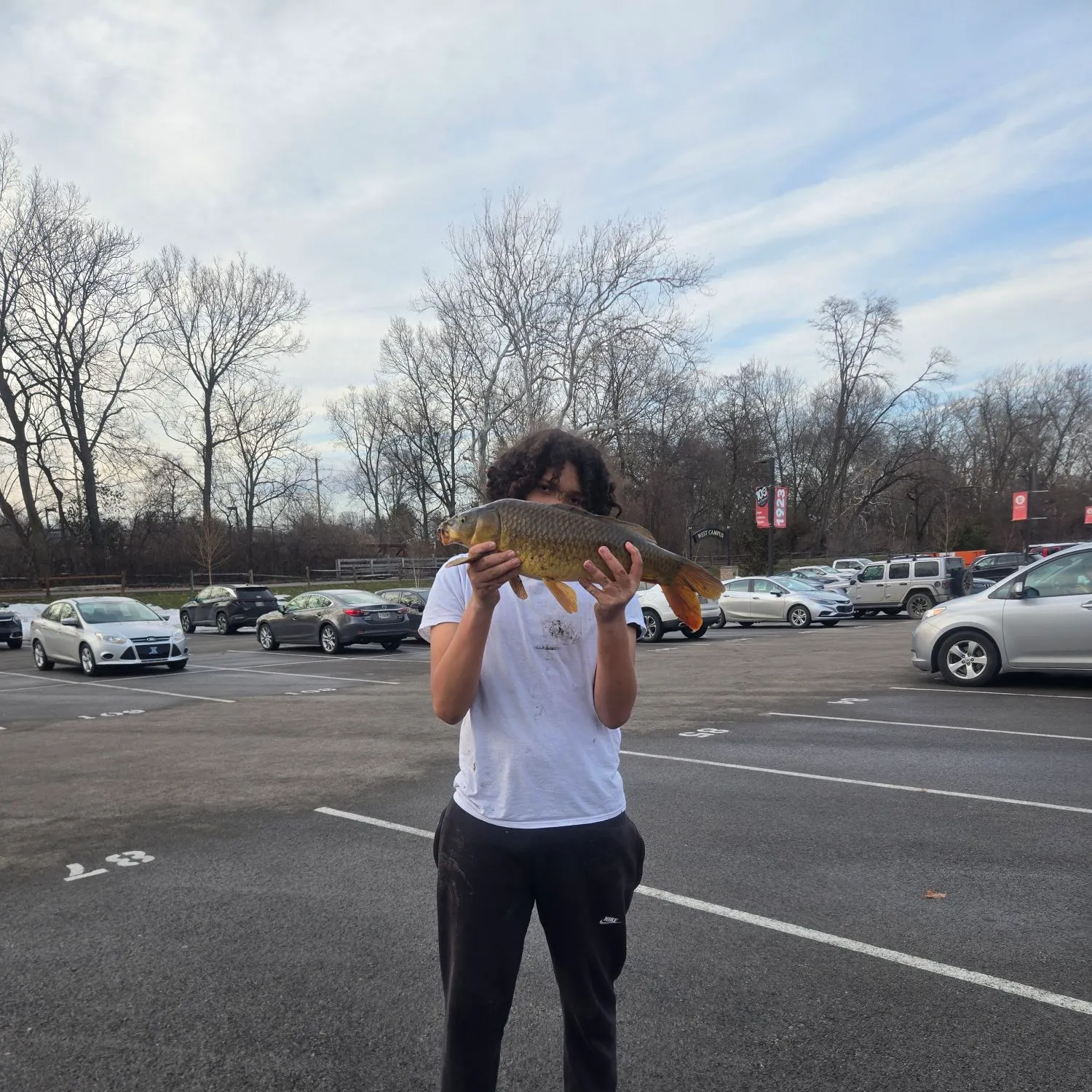 The most recent Common carp catches on Fishbrain