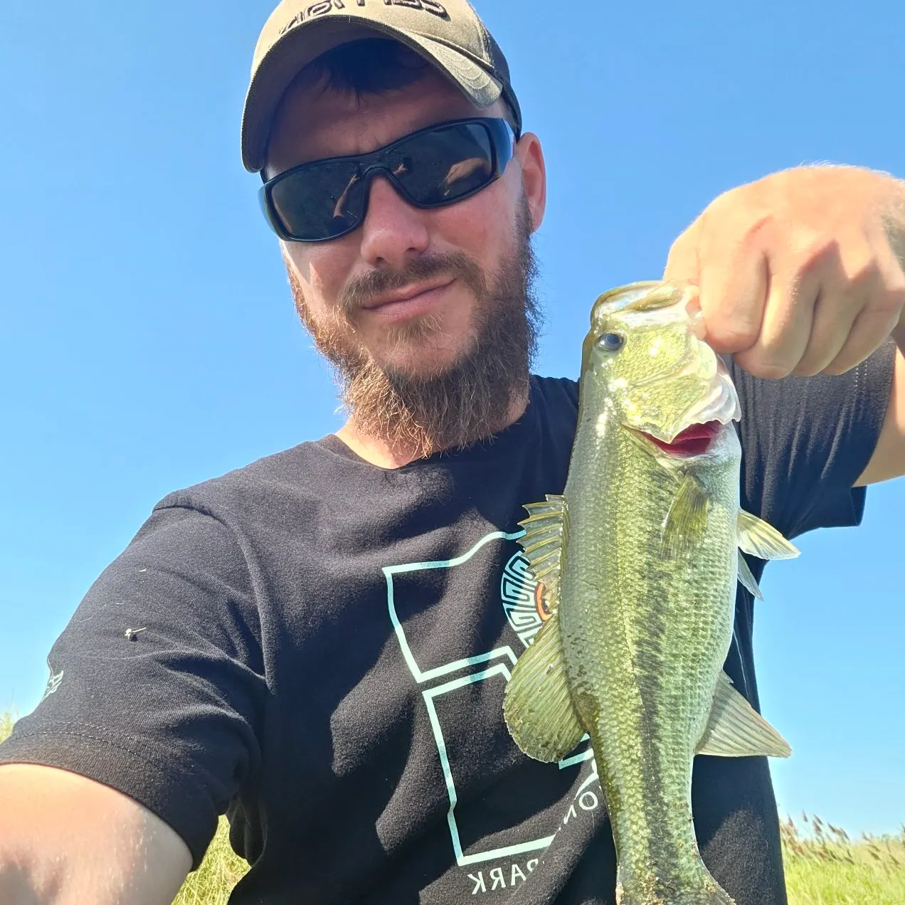 Largemouth bass caught on Fishbrain
