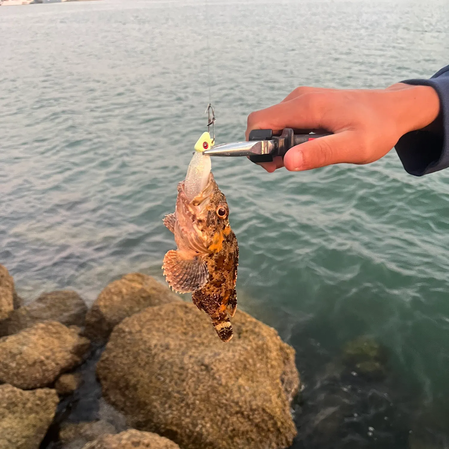 catch