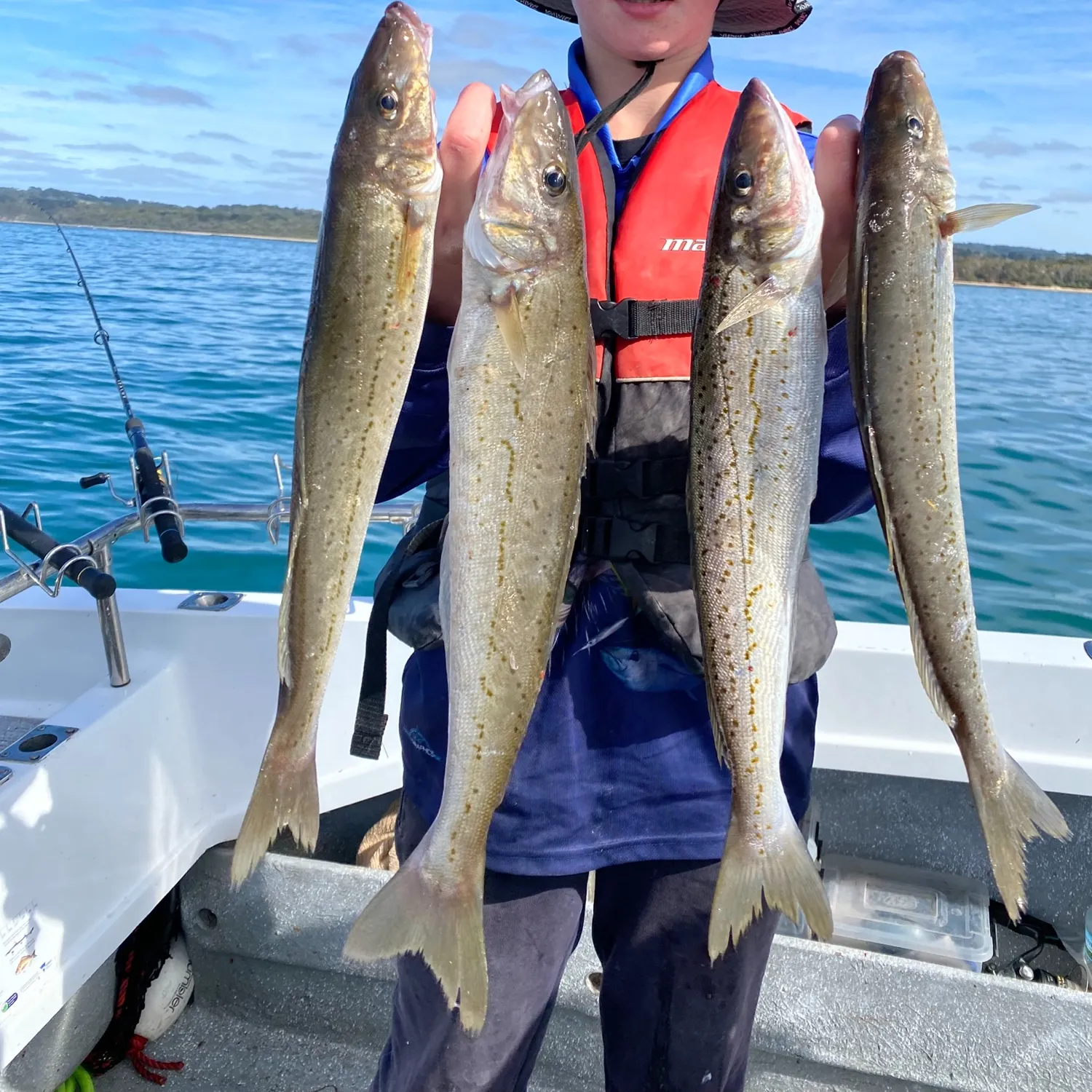 The most recent King George whiting catches on Fishbrain