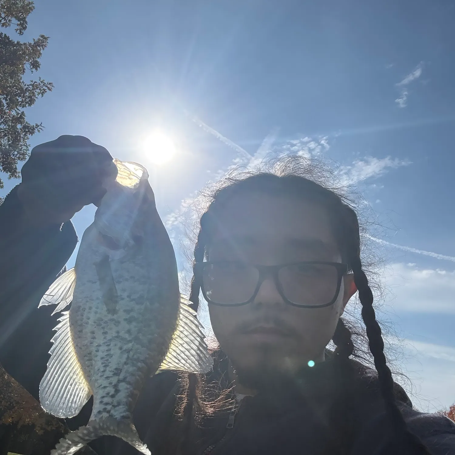 White crappie caught on Fishbrain