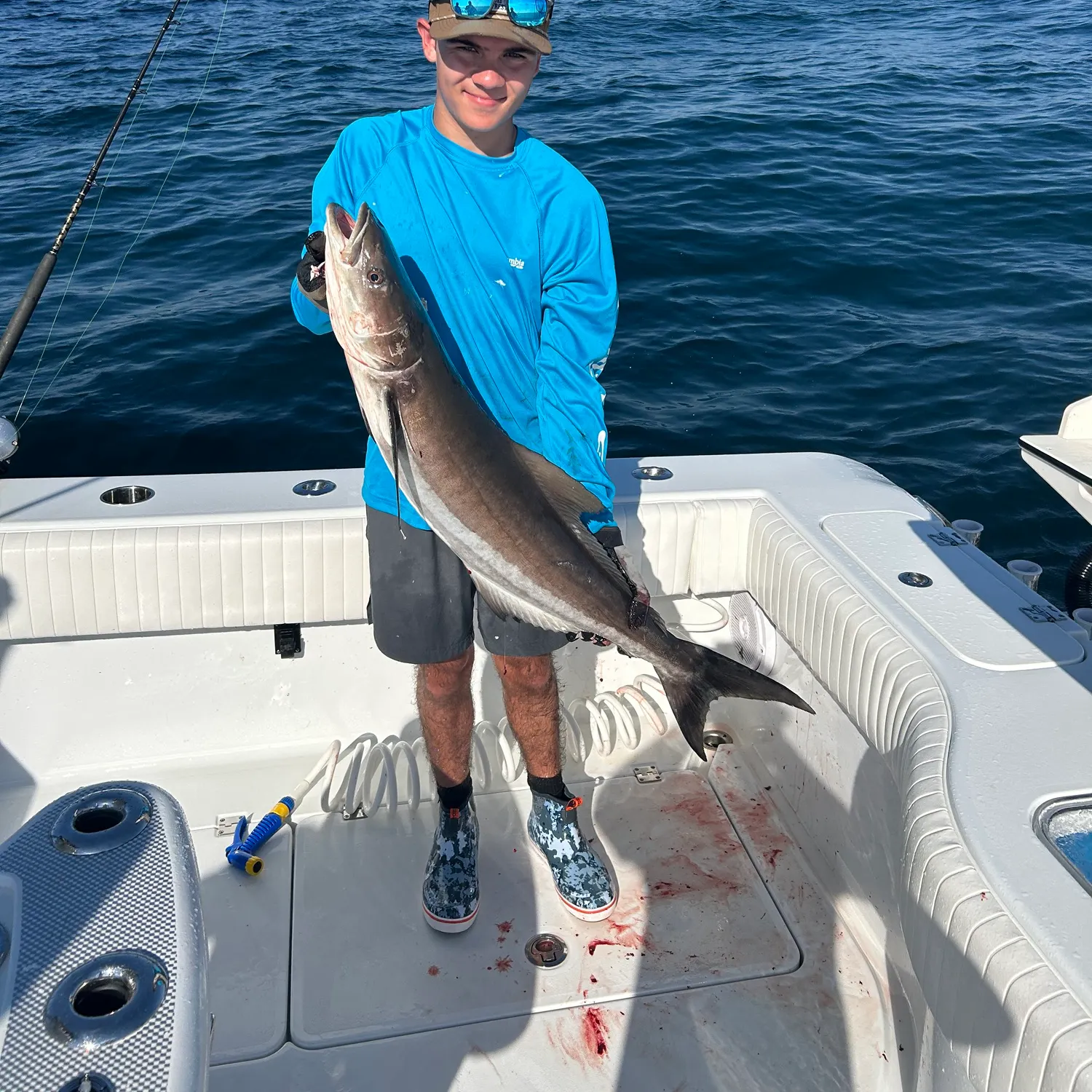The most recent Cobia catches on Fishbrain
