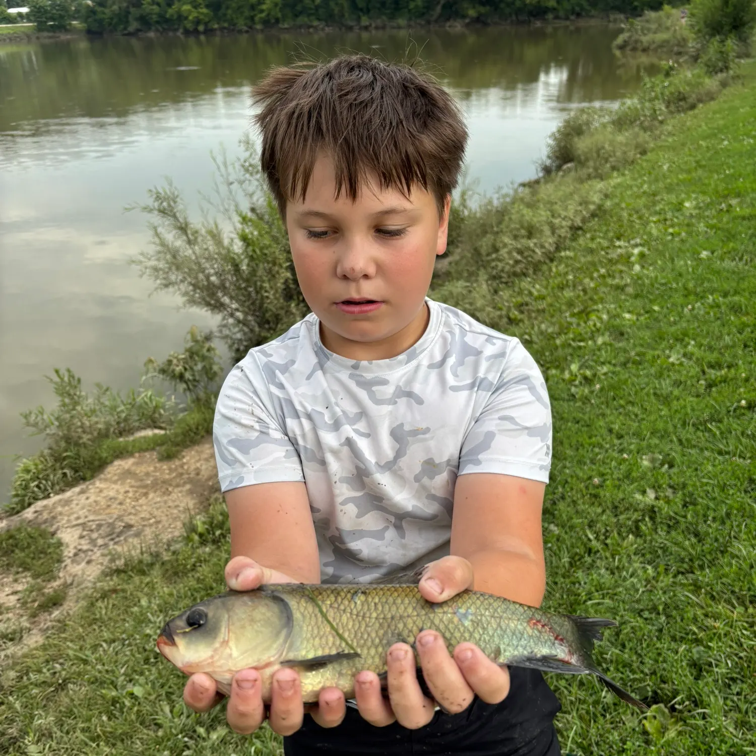 The most recent Bigmouth buffalo catches on Fishbrain