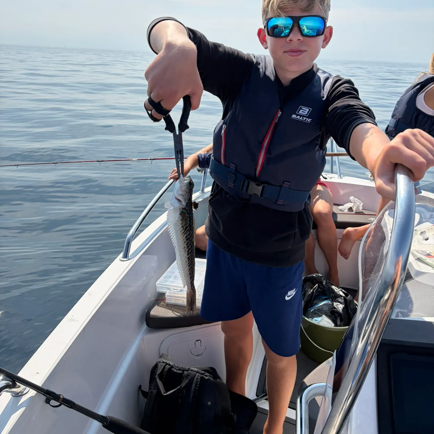 The most recent Greater weever catches on Fishbrain