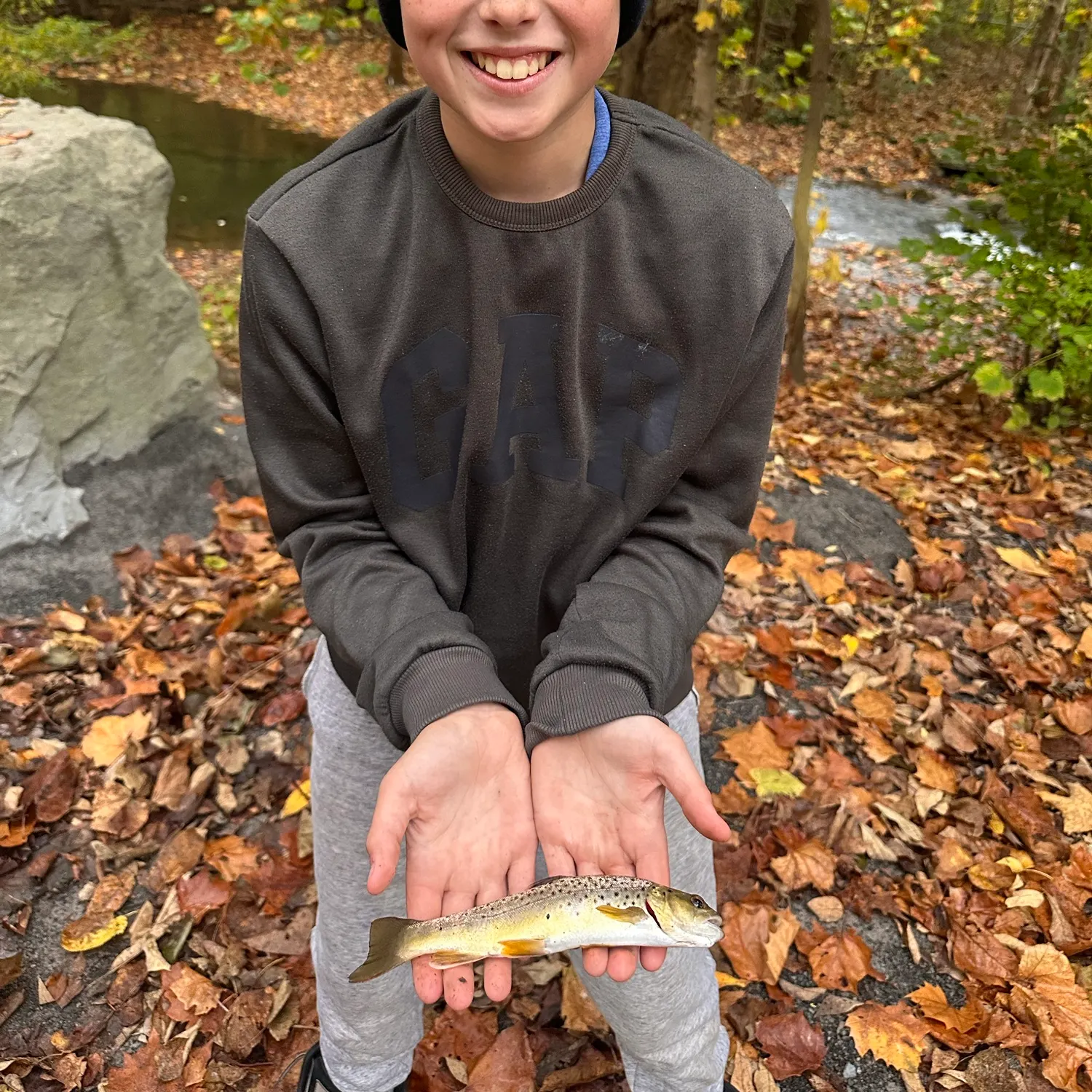 Brown trout caught on Fishbrain