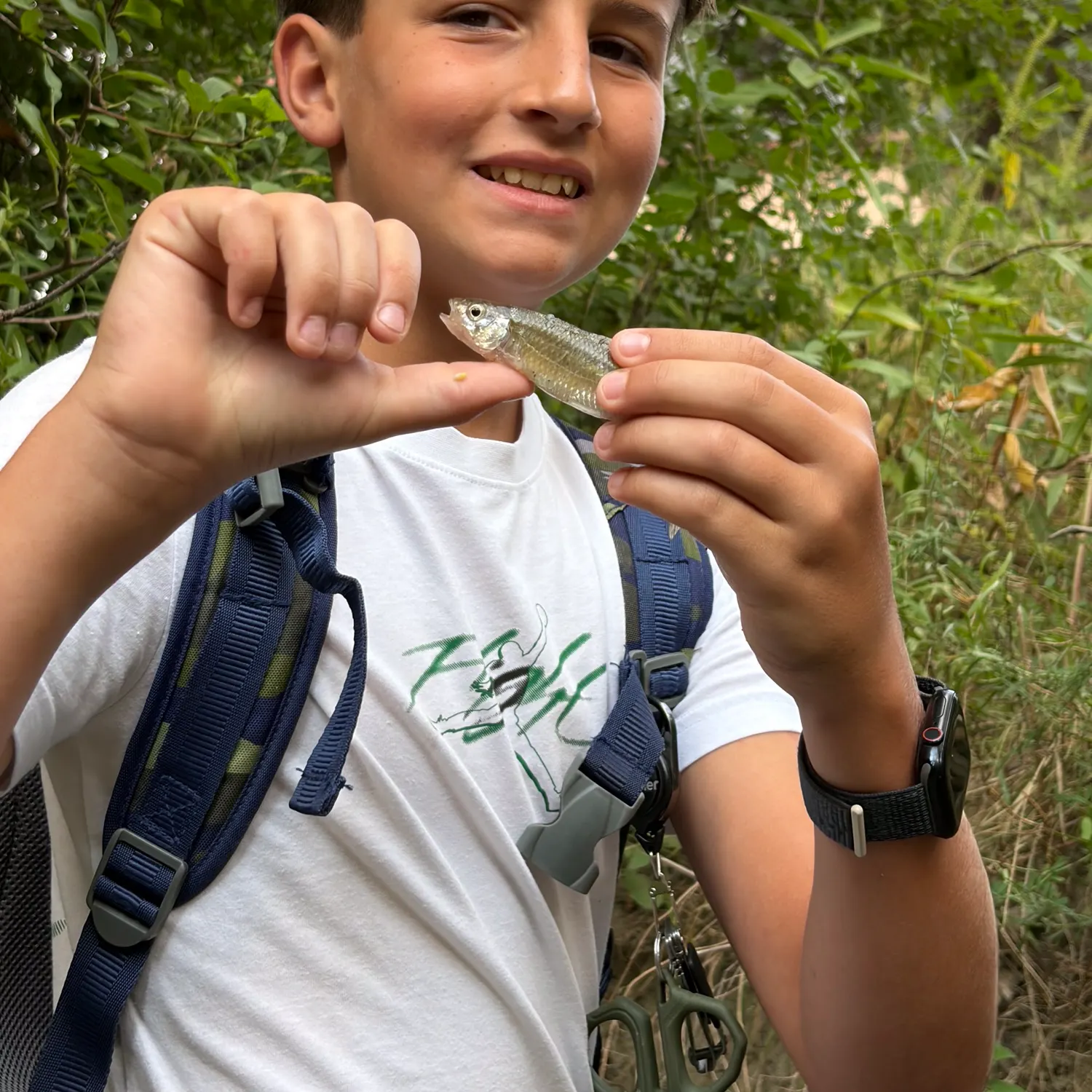Creek chub caught on Fishbrain