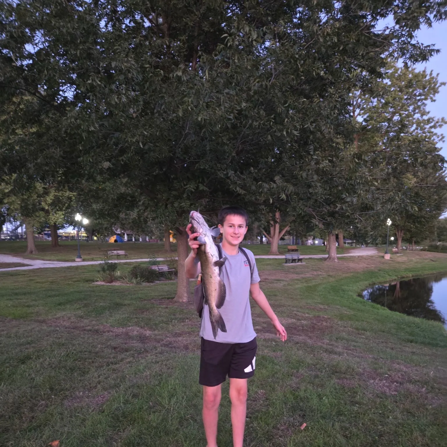 Channel catfish caught on Fishbrain
