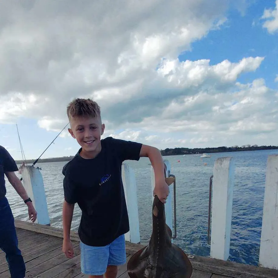 most liked catch image