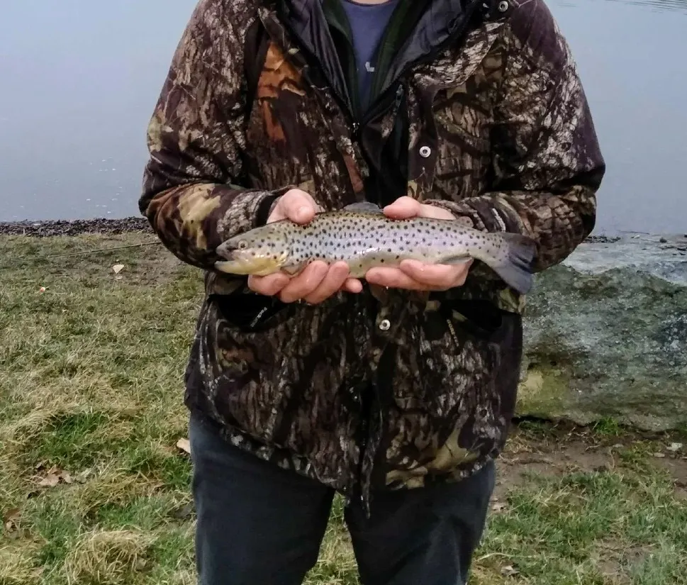 Post image from rg1993