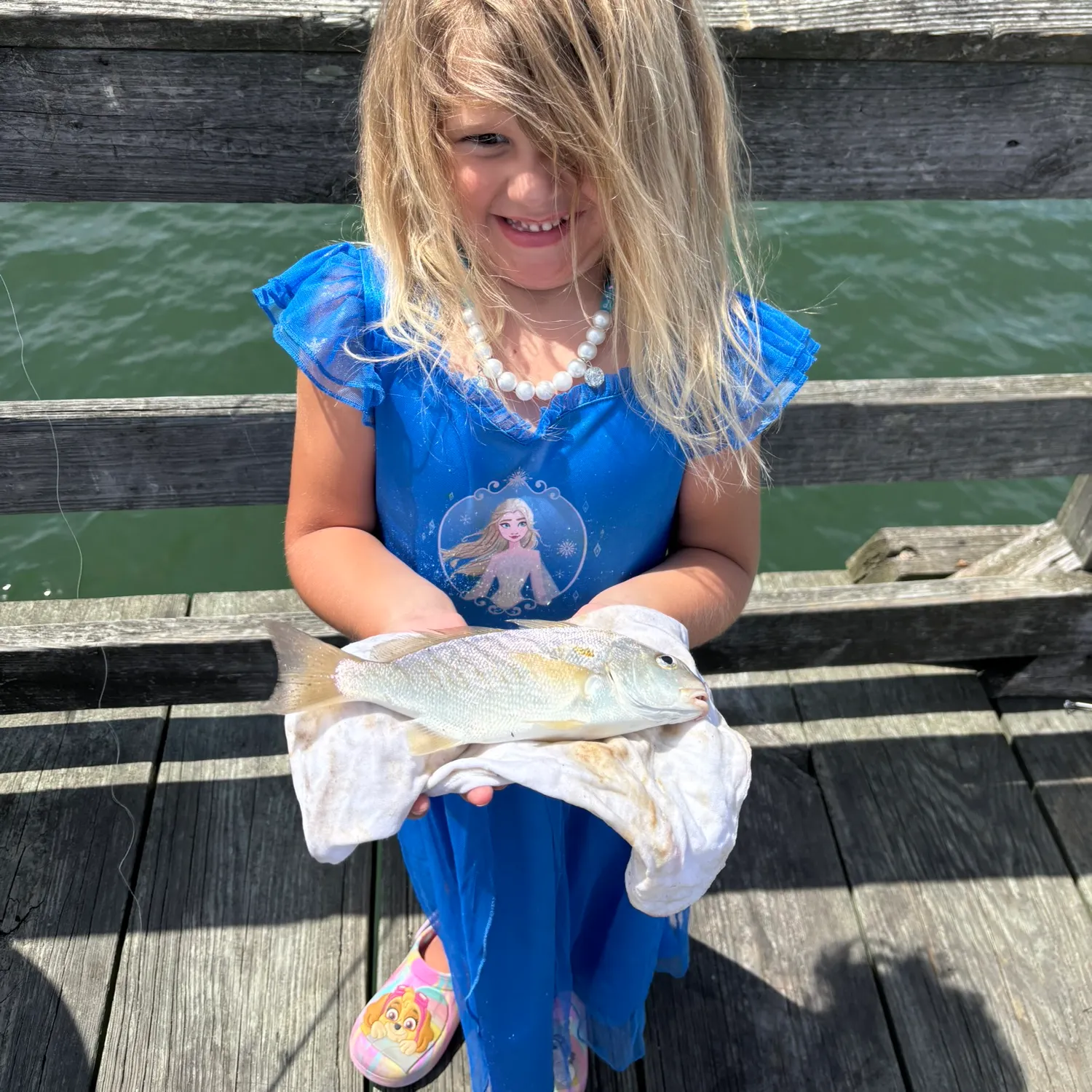 The most recent Spot croaker catches on Fishbrain