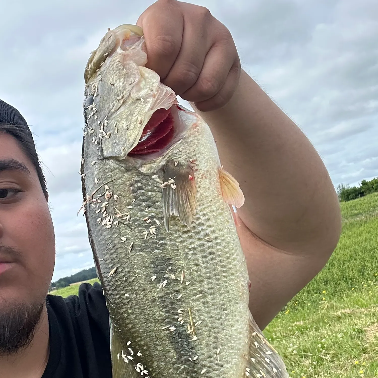 angler catch