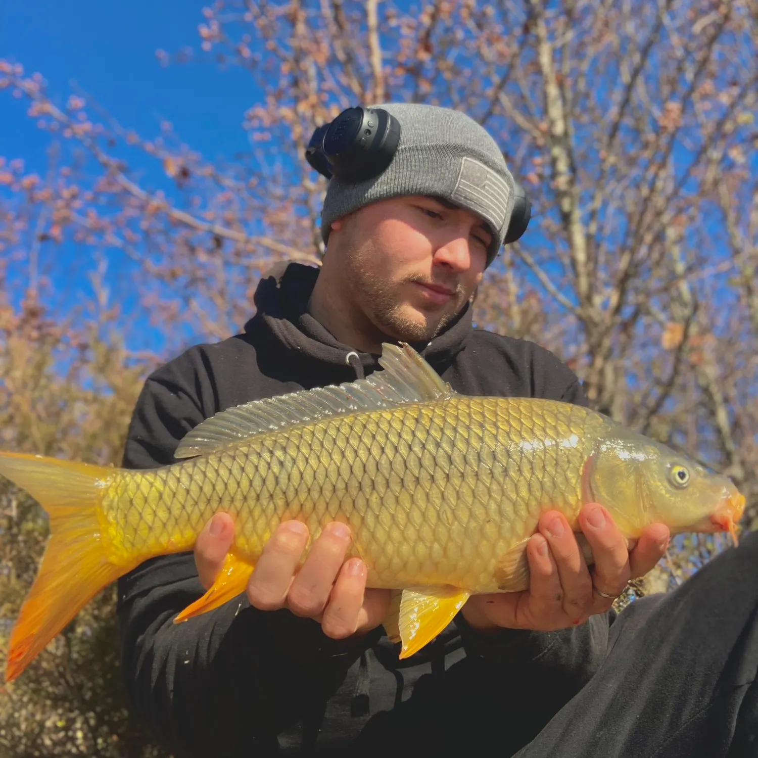 Common carp caught on Fishbrain